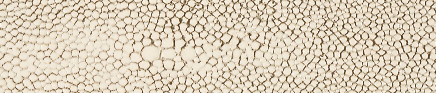 Mist Shagreen